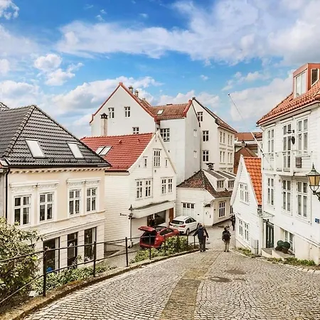 Steinkjellergaten Apartment *
